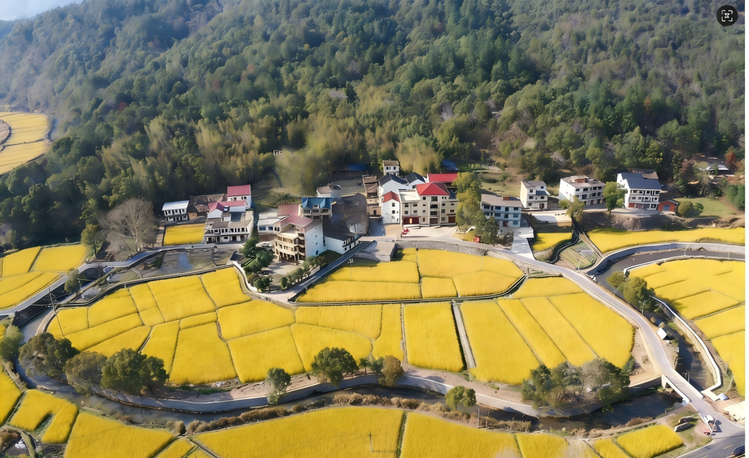 江西上饶市广信黄沙渠局部图。水利部供图
