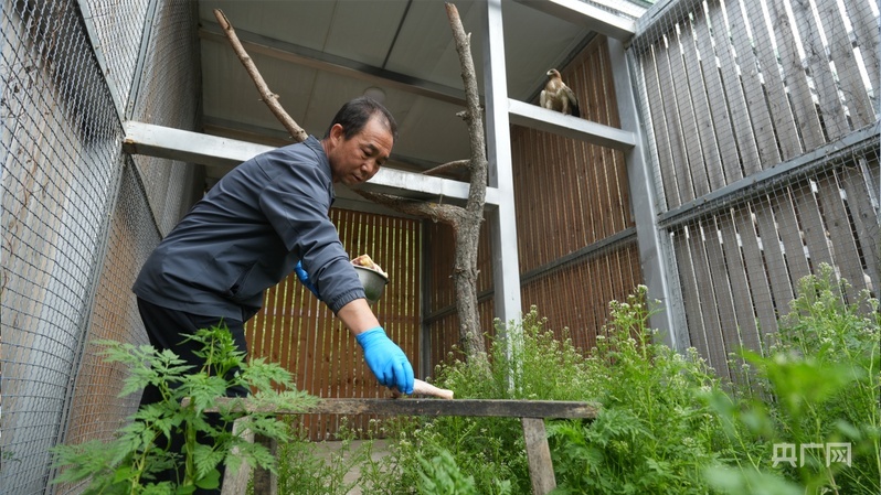 郭志宏正在喂食被救助的野生鸟类（央广网发 王煊赫 摄）