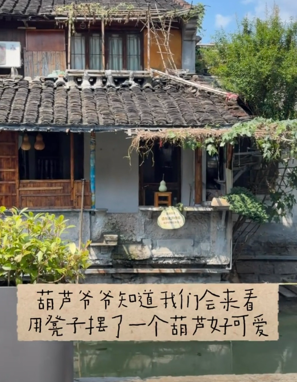 @鱿鱼小公主