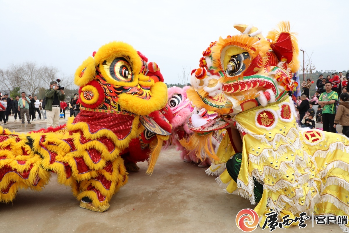 2024.2.13濛江镇举办群狮贺新春水上狮舞表演活动，各狮队在进行会狮。岳柱健 摄