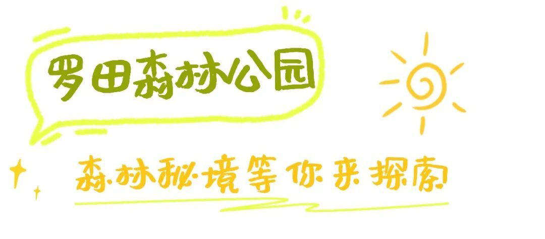 暑假夏令营亲子活动暑期活动手绘风海报aicg (1).jpg