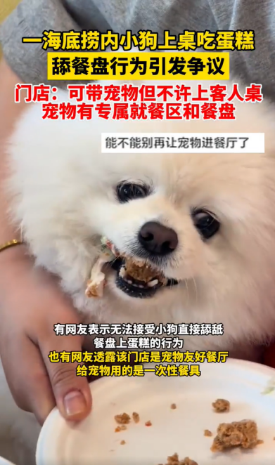 一段宠物狗在海底捞门店舔食蛋糕的视频引发争议。有网友表示，该门店是宠物友好餐厅，小狗使用的是一次性餐具。（图/短视频截图）