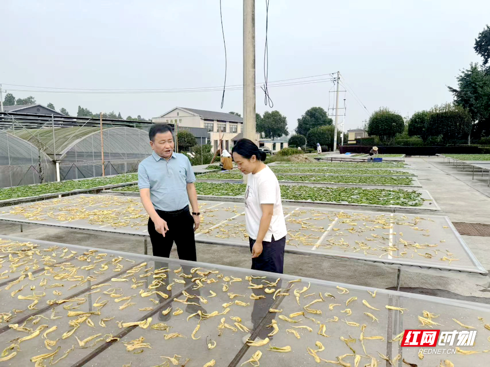 微信图片_20260917172110_352_34.jpg