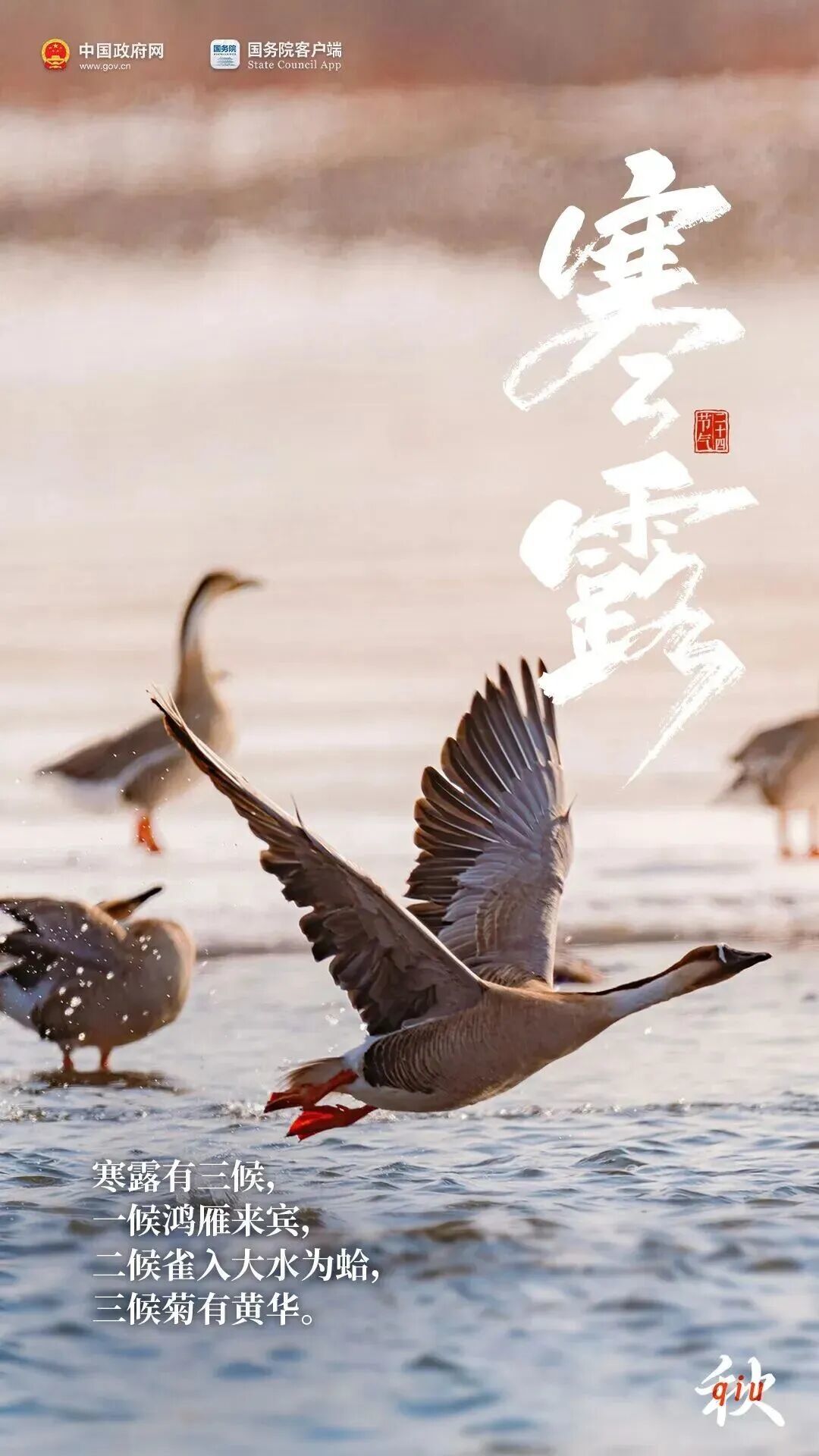 微信图片_2026-10-08_134030_809.jpg