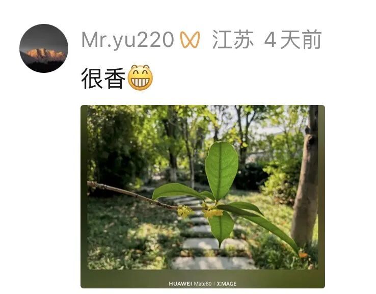 微信图片_20261014100151.jpg