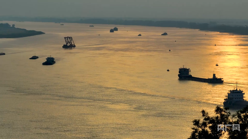 九江长江段，一幅繁忙的航运画卷（央广网发 王林华 摄）