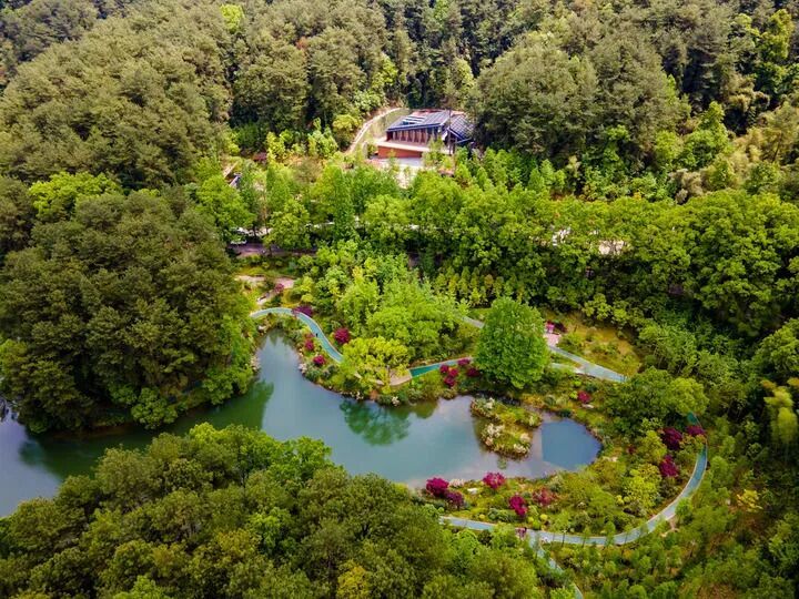黛湖经过拆除违建、生态修复，如今水清岸绿，成为游客市民休闲好去处（2020年10月摄）。.jpg