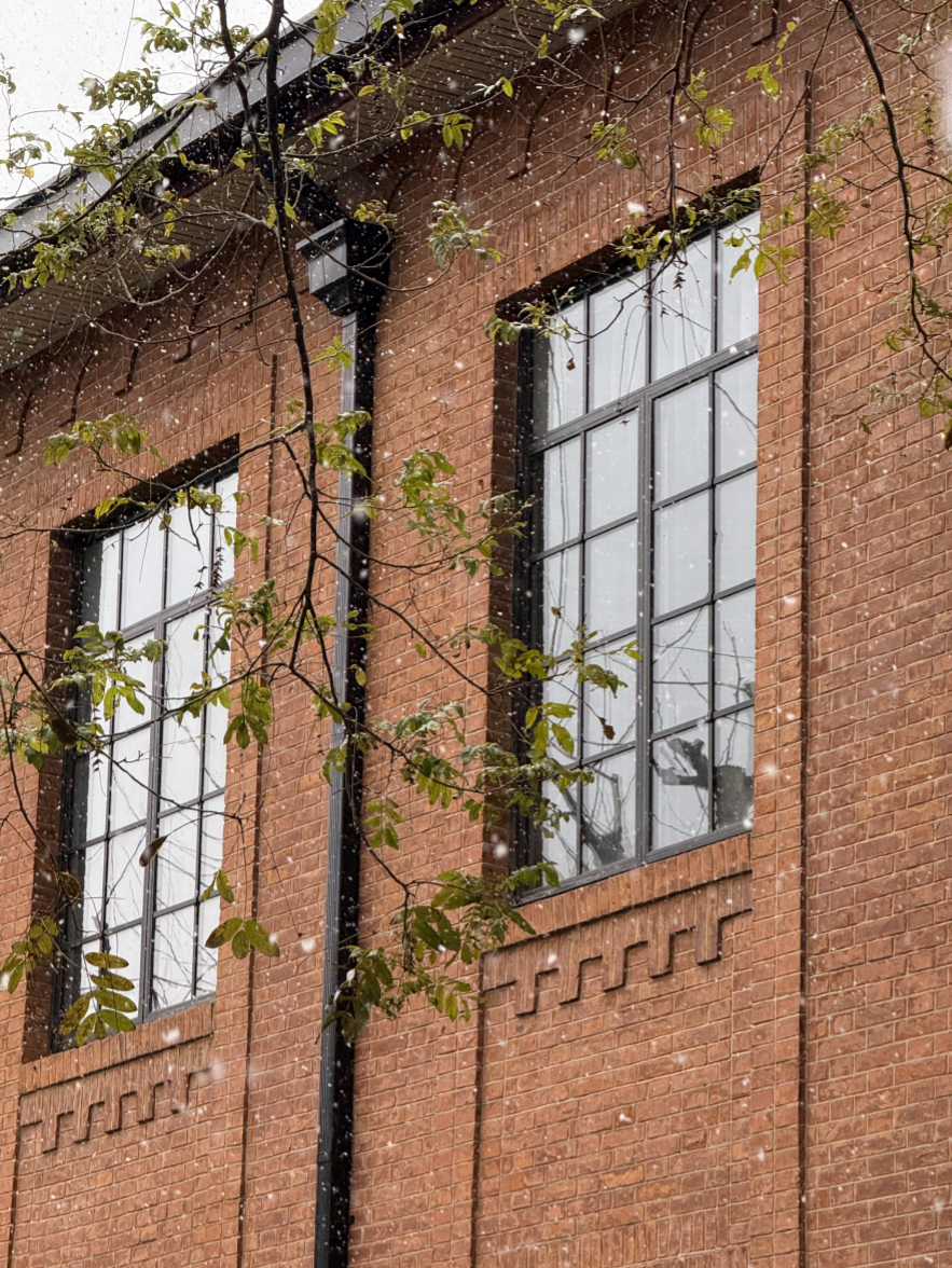 我在上海交大看上海初雪❄️@Cherry DING