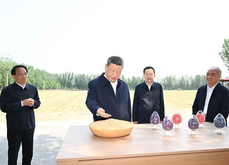 △2026年6月24日，习近平总书记在山东德州陵城区边临镇东于架村了解当地“三夏”生产情况。