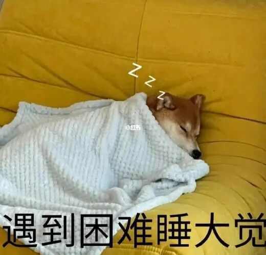 株洲编制和长沙契约制