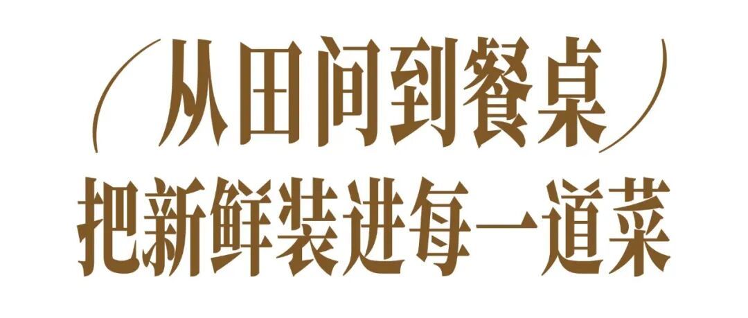 稿定设计-3.jpg