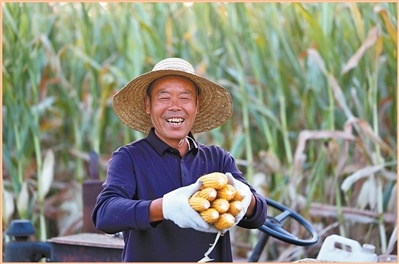 欢笑和汗水礼赞丰收(新时代画卷)