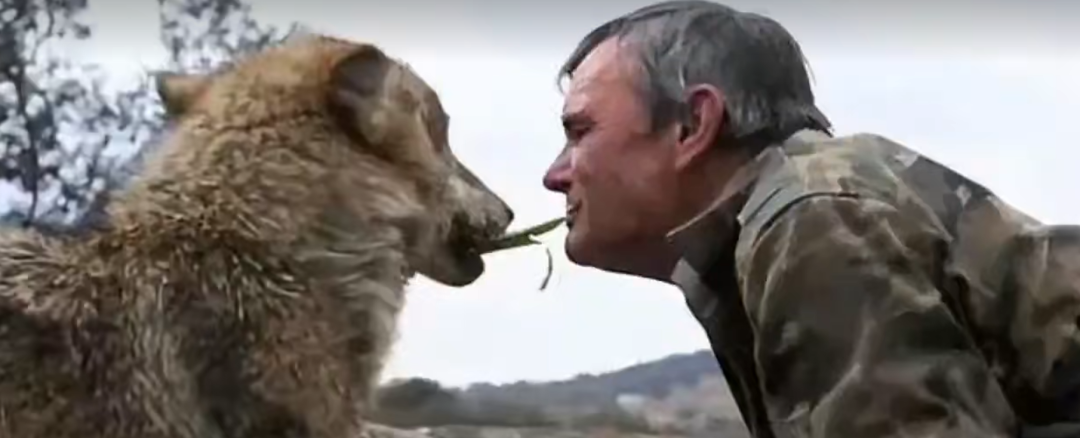 ���������Ǻ���ȥ�� ����Ⱥ����12�� ��˵���������
