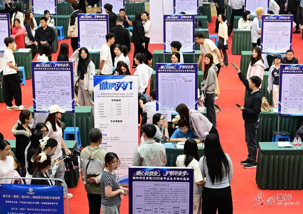 【职引未来】“百日冲刺”正当时 多方聚力精准服务促就业