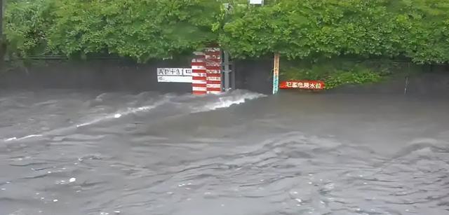 日本物价还在暴涨，一颗白菜42元东说念主民币，高市早苗降税策略失败？