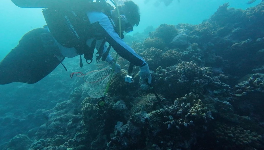 图片来源：中国科学院南海海洋研究所