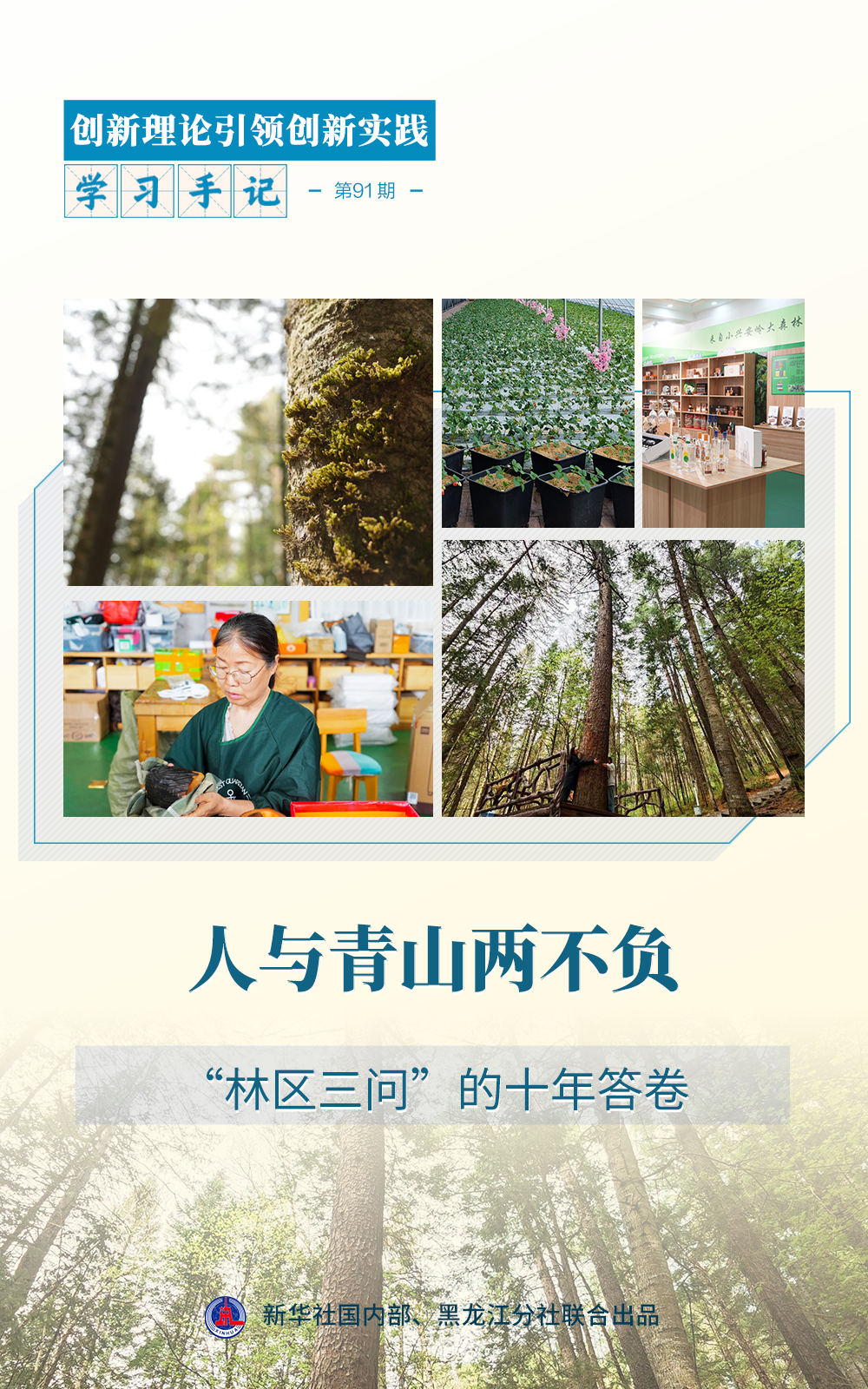 学习手记·创新理论引领创新实践 | 人与青山两不负——“林区三问”的十年答卷