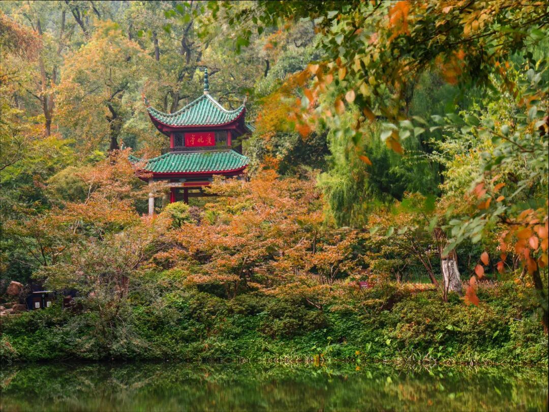 摄图网_700958832_初秋的湖南长沙岳麓山爱晚_(企业商用).jpg