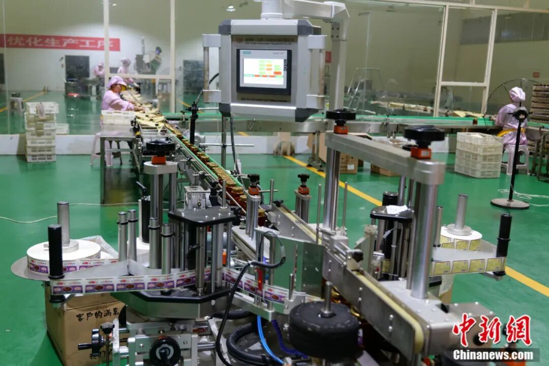 图为鸡泽县天下红辣椒有限公司瓶装自动传输生产线。 中共鸡泽县委宣传部供图