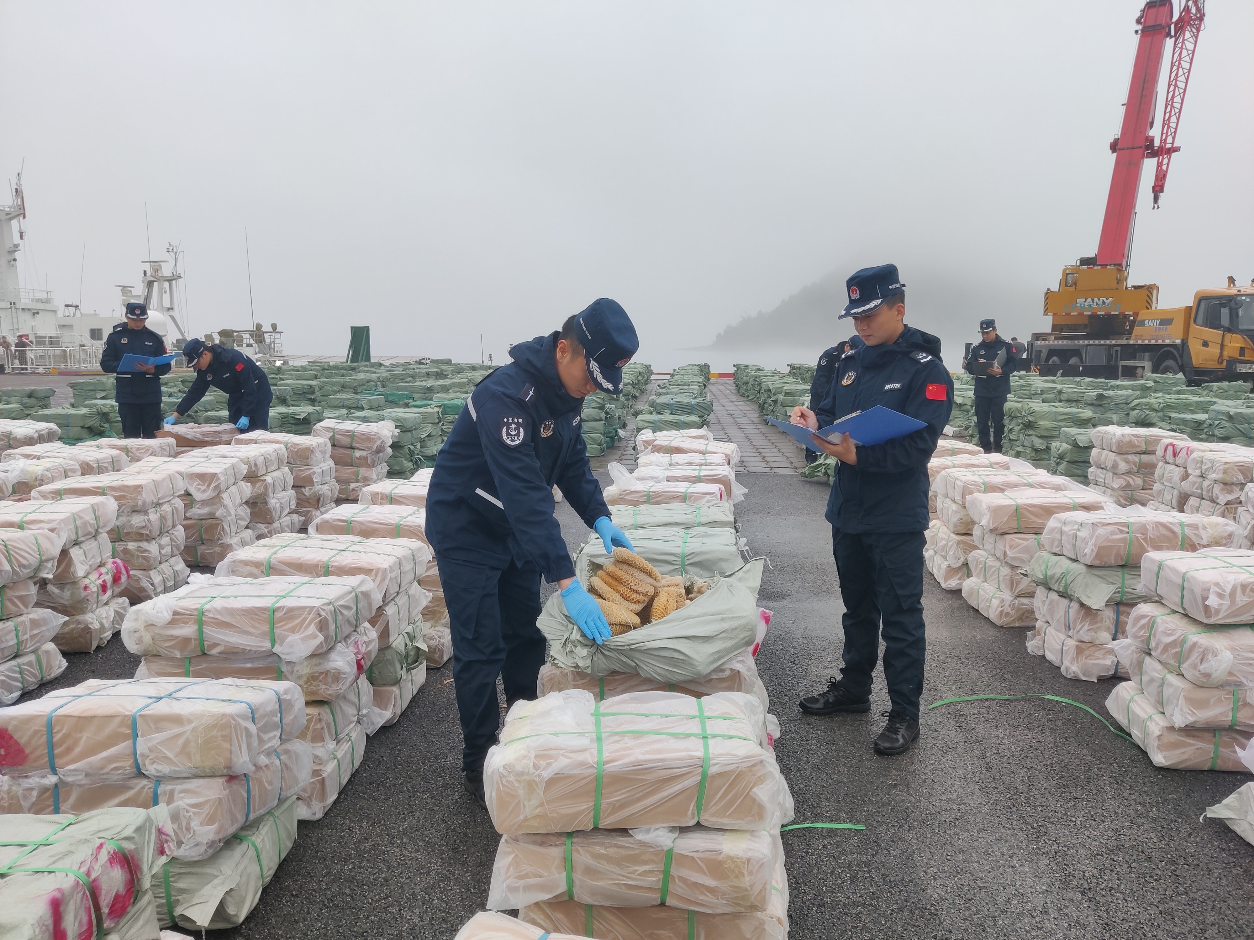 广西海警局查获的走私冻品。（广西海警局供图）