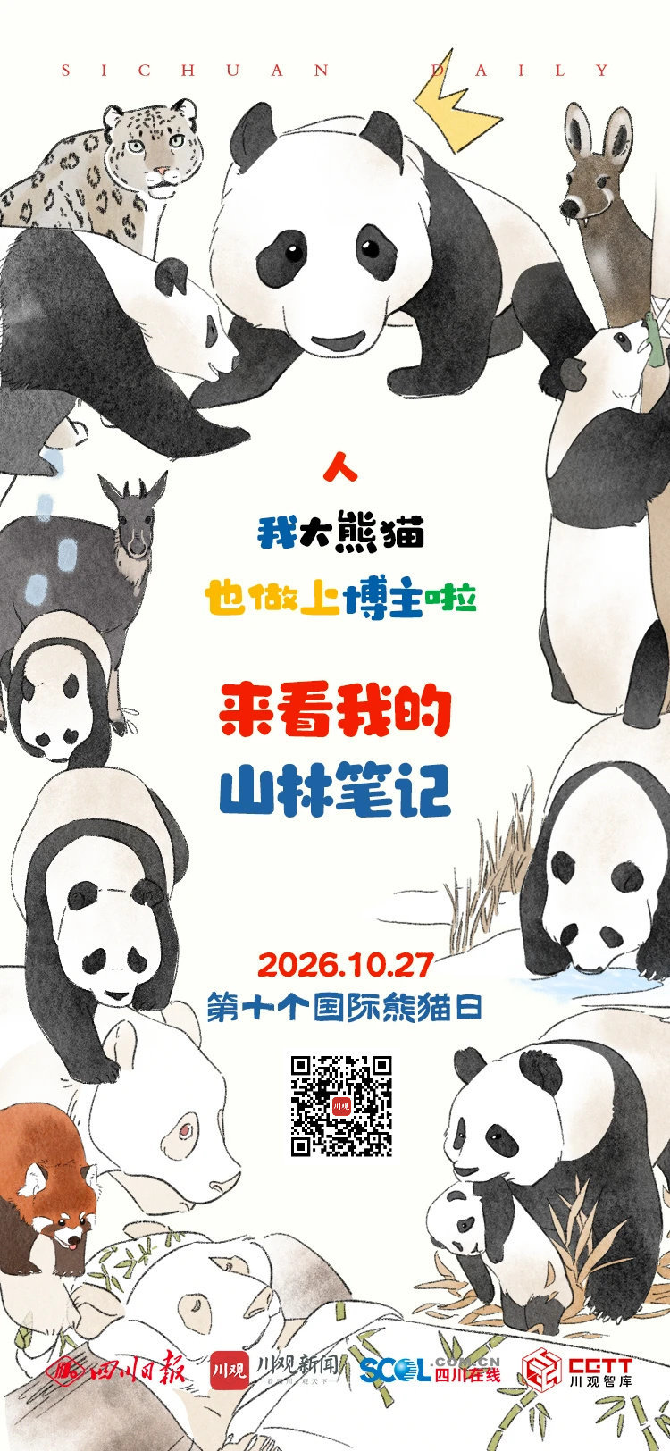 【#如果四川大熊猫当一天博主#】#来看四川野生大熊猫的朋友圈#四川是