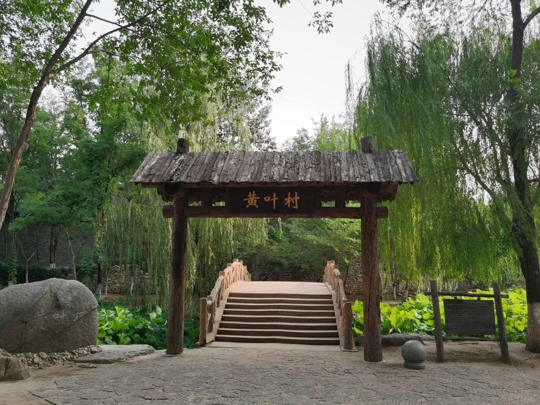 图虫创意-979019344005955627.jpeg