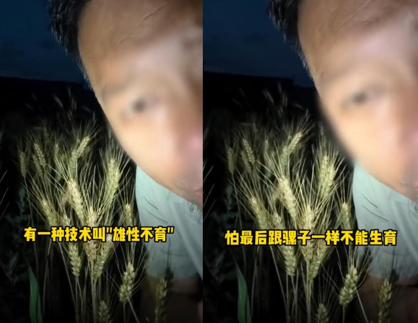 超200万粉丝网红诋毁袁隆平成果,这是彻头彻尾的忘本