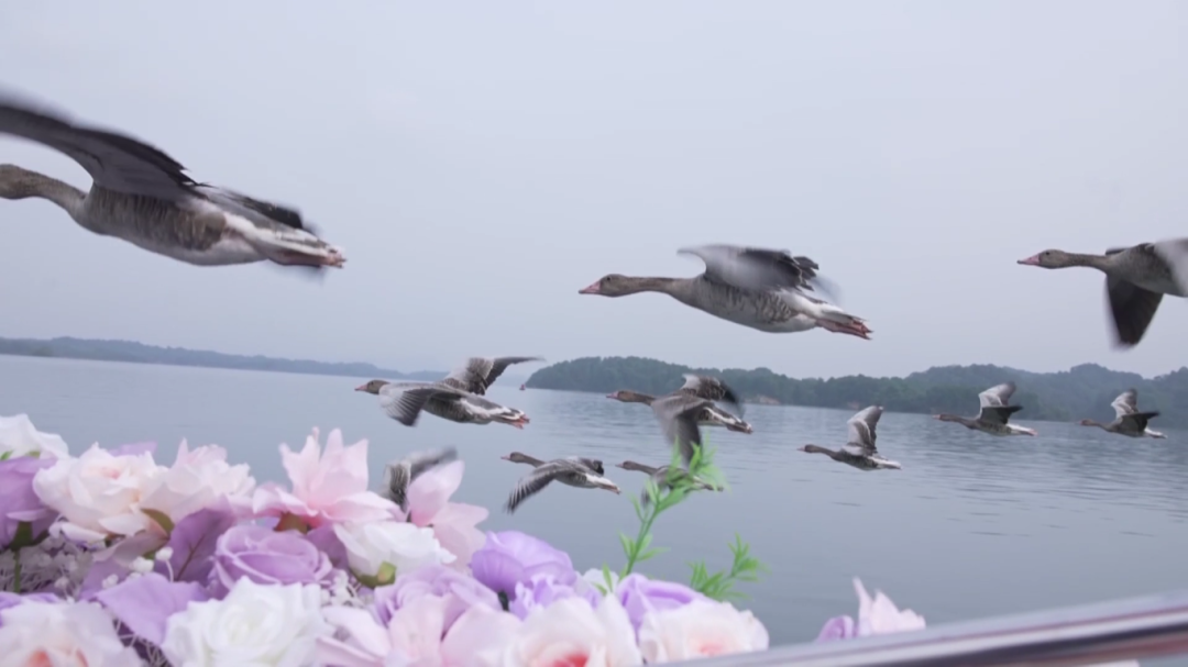 假日市场持续升温 多元场景点燃假期[00_00_13][20261006-165058].png