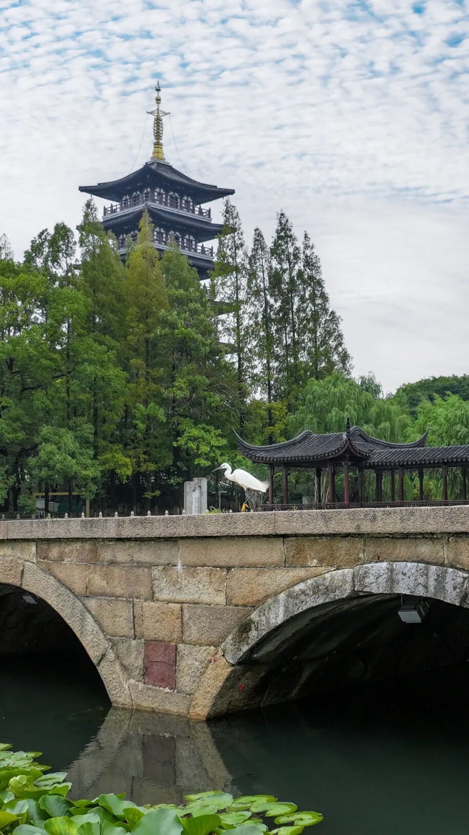 20260814垂虹历史人文街区 方华.jpg