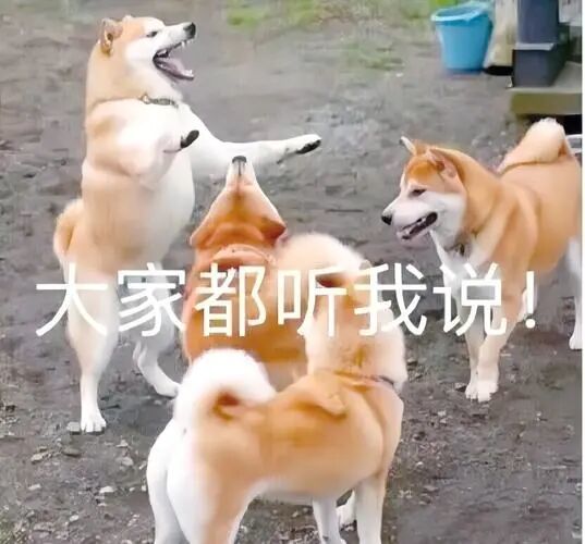 😡 最近又有一些艺术生小白在吐槽自己被坑了,所以今天我决定给大家