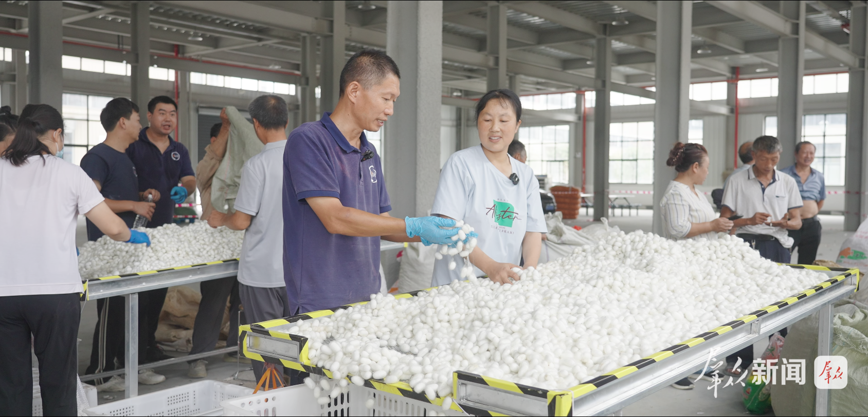 金蚕之乡，闯出新“丝”路