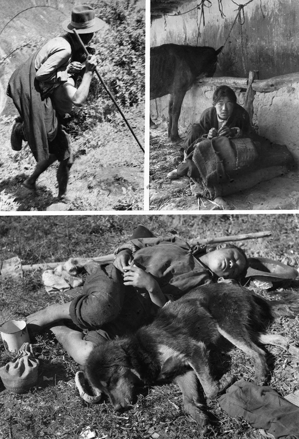 上图左:西藏农奴制度下的“人背人”(即农奴像牲畜一样背驮着农奴主)差役。上图右:和牲口同住的农奴。下图:农奴益西钦沛服劳役后与犬同眠。新华社发(1992年9月19日发)