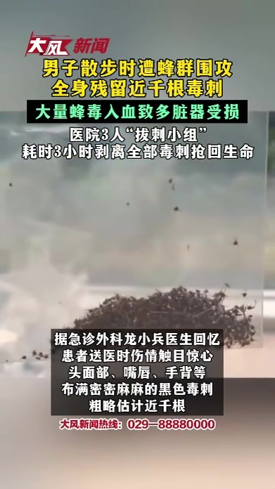 男子散步时遭蜂群围攻 全身残留近千根毒刺 大量蜂毒入血致多脏器受损 医院3人“拔刺小组” 耗时3小时剥离全部毒刺抢回生命