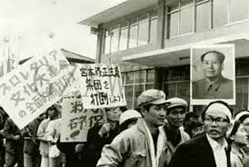 疯狂崇拜毛泽东：揭秘日本“赤军”_新浪图片