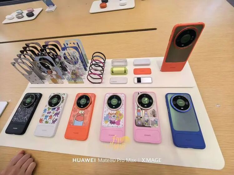 图源:不客观实验室