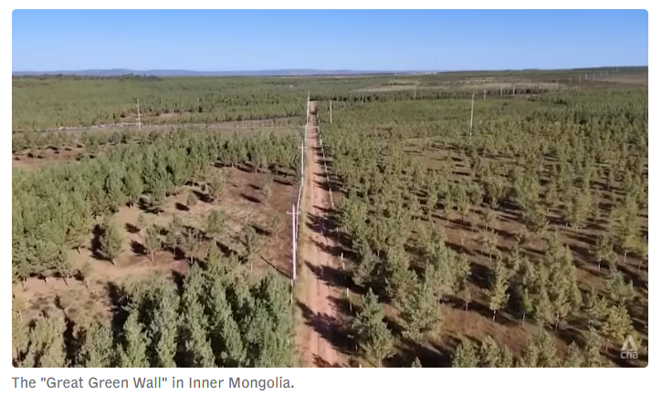 新加坡亚洲新闻台（CNA）网站报道截图