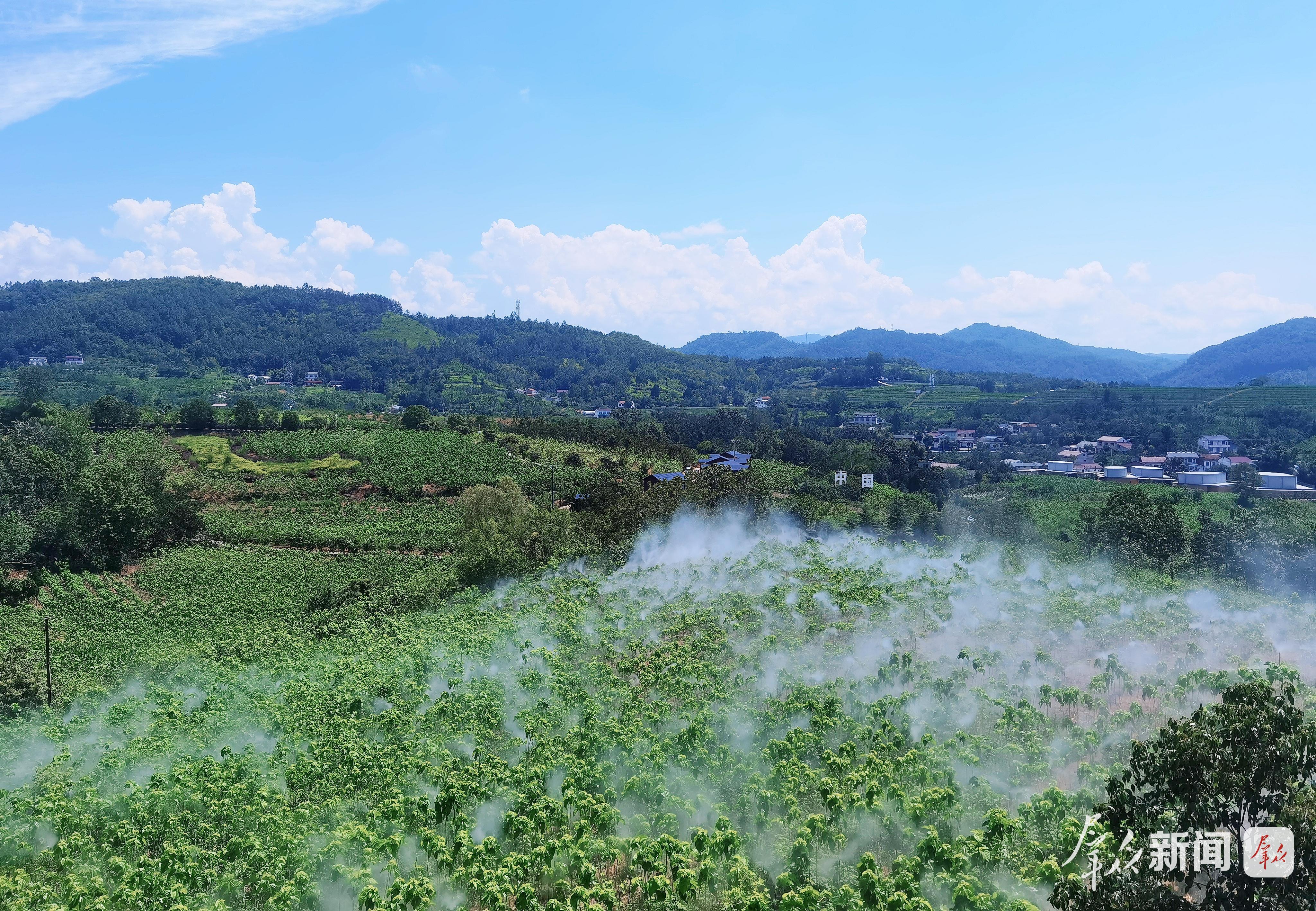 金蚕之乡，闯出新“丝”路