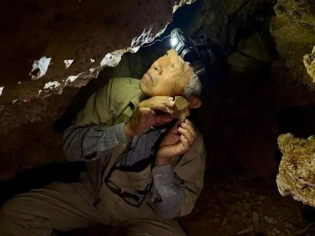▲“挖骨人”在洞穴里查看冲绳战役死亡民众的遗迹。(图片来源:时报)