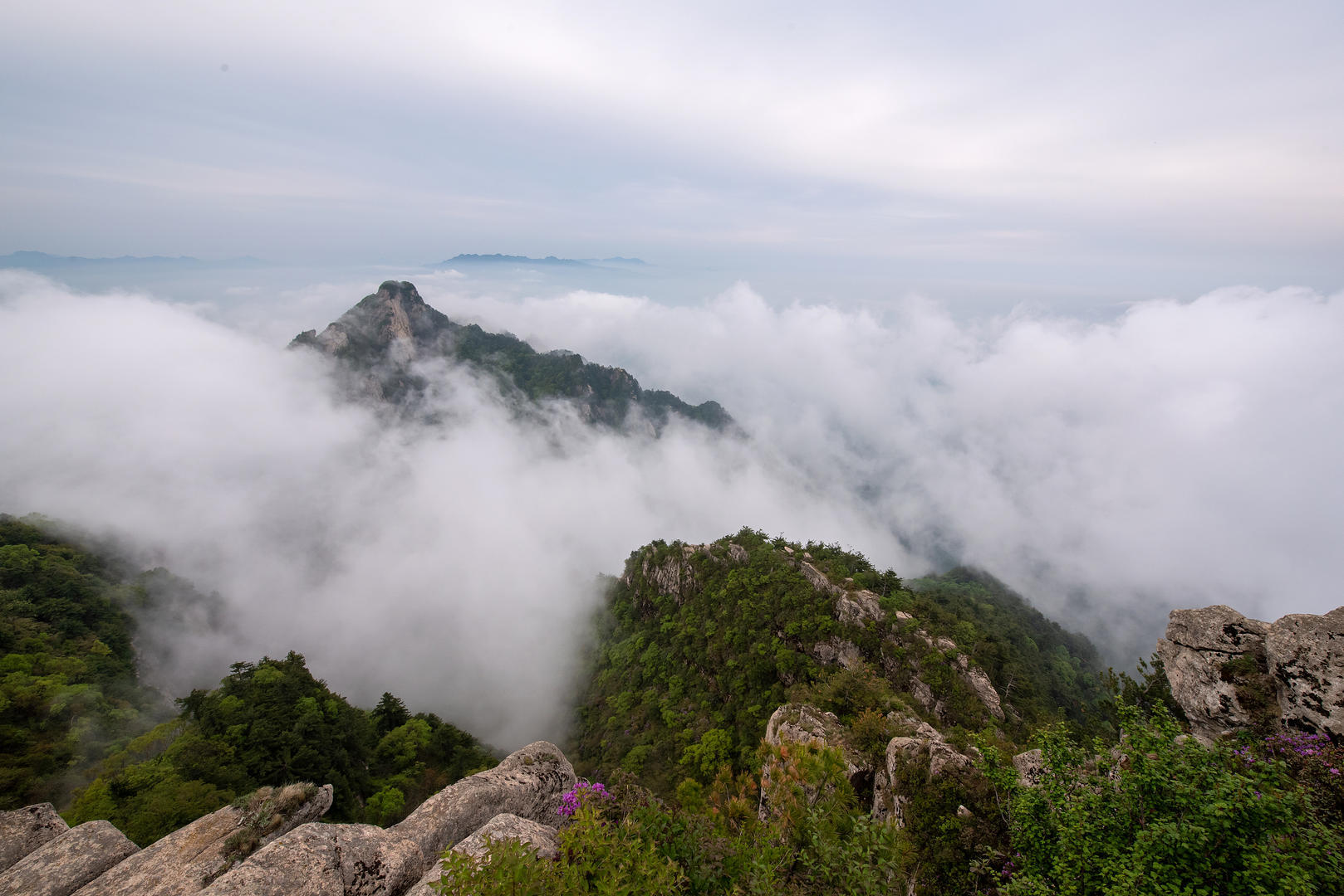 ▲洛阳白云山景区风光 图据视觉中国