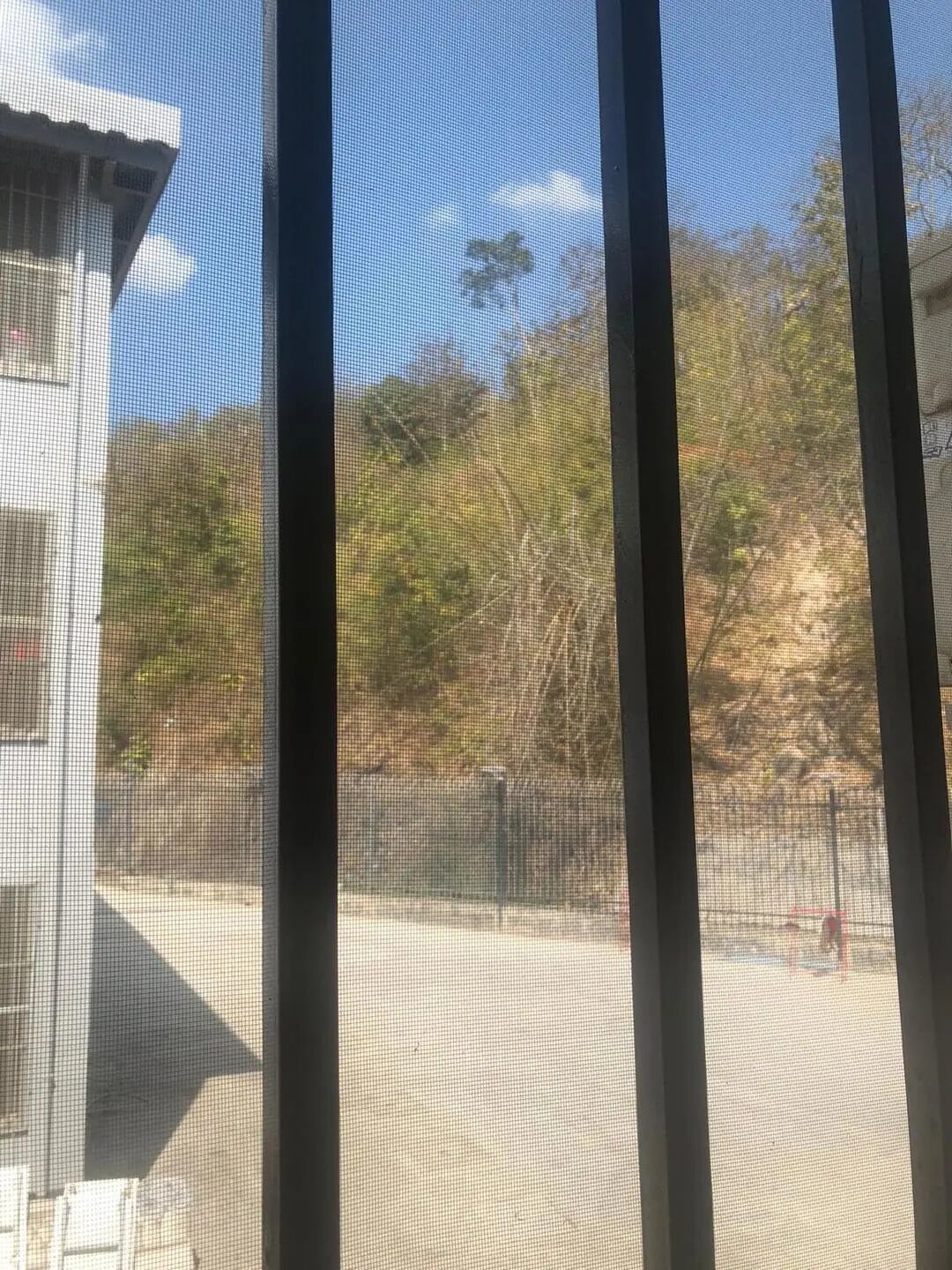 ▲窗口装着拇指粗细的铁栏,铁栏外还有一层铁网双重封闭