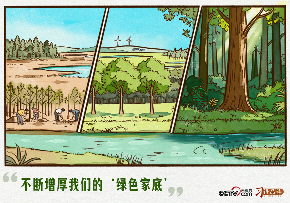 天天学习|不断增厚我们的“绿色家底”