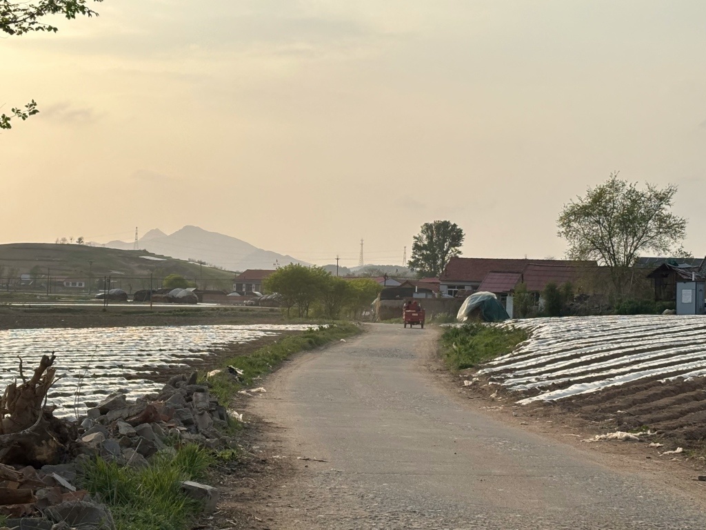 黄柏树村。