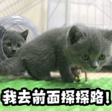 马斯克大火箭把月球撞了个坑