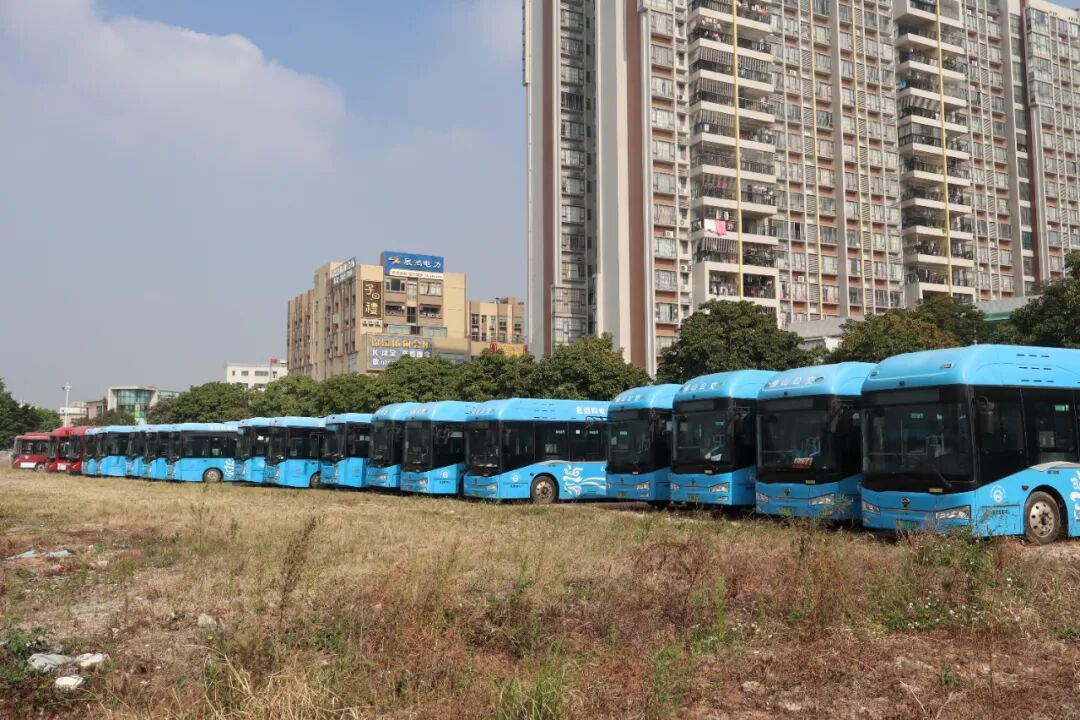 停运的氢能公交车 林春挺 摄