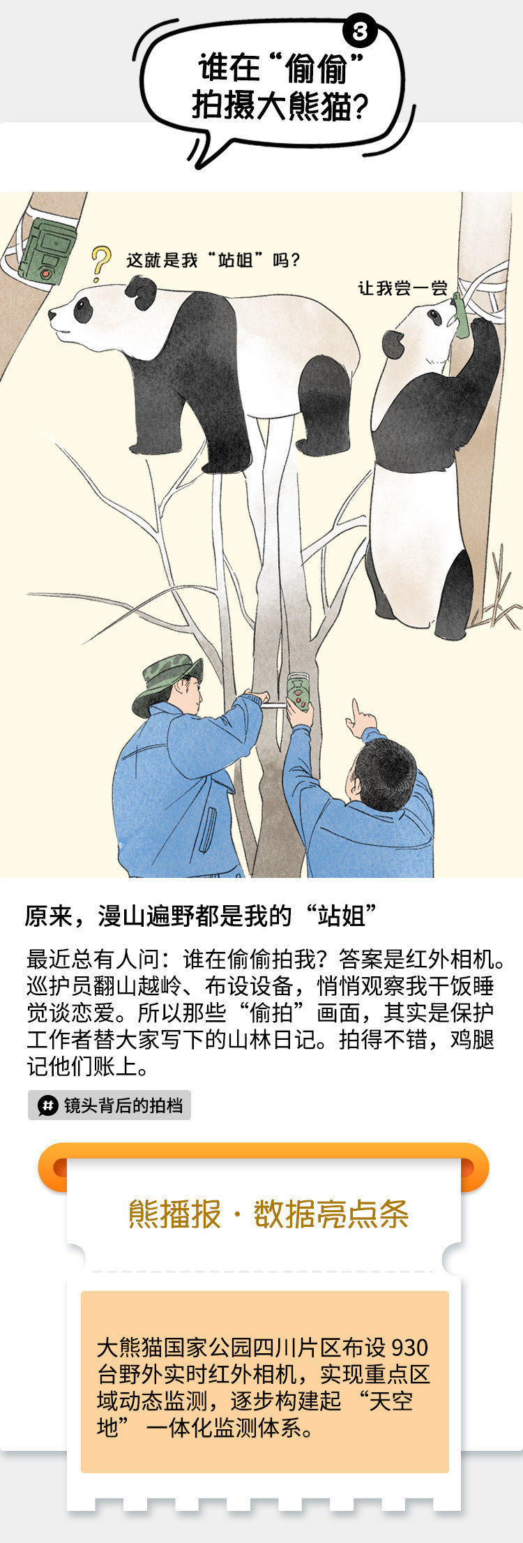 【#如果四川大熊猫当一天博主#】#来看四川野生大熊猫的朋友圈#四川是