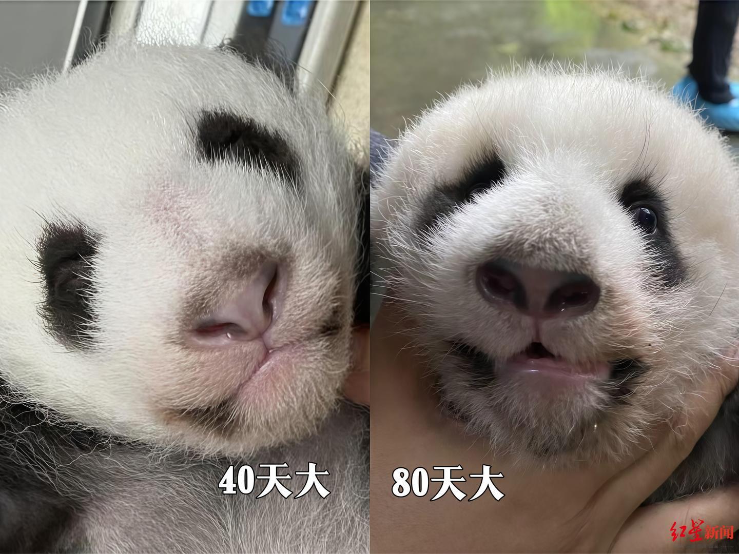 微信图片_20260916133228_399_2.jpg