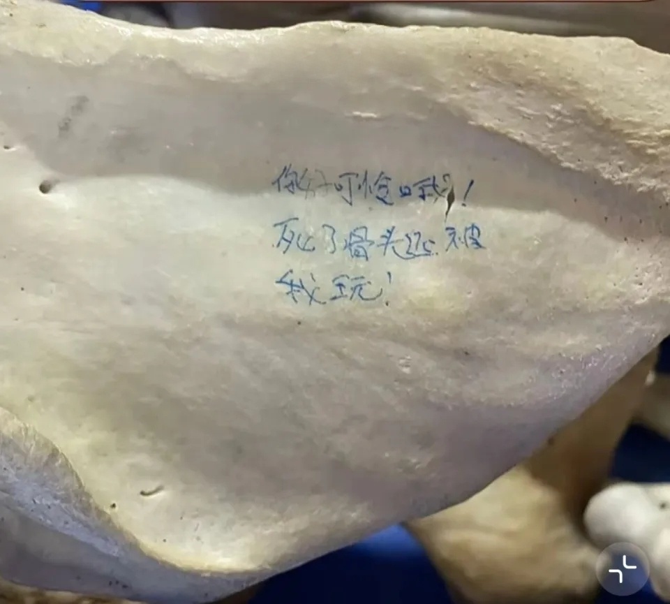 医学生在大体老师骨骼上写字取乐别让一些医学生破坏了遗体捐献的信任【“