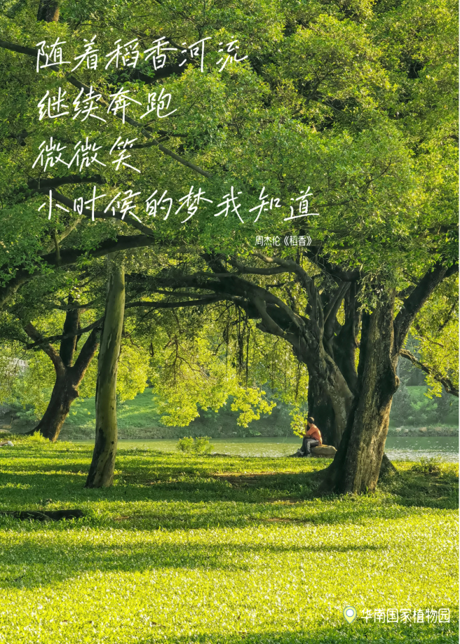 情感文案语录清新蓝白黄配色电影感海边公路旅行小红书封面 (9).png