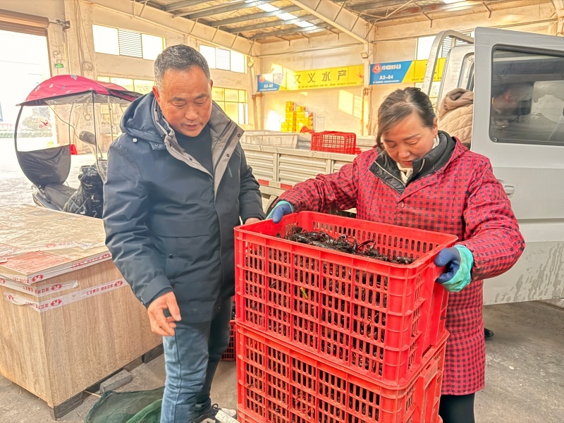 潜江小龙虾交易中心,何老板(左)正在收货。人民网记者 张隽摄