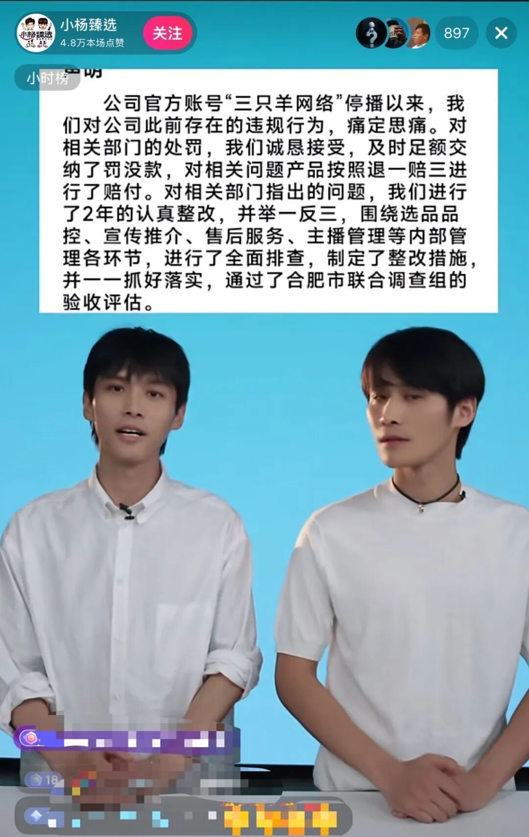 图片来源：每经记者于“小杨臻选”直播间截图